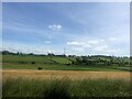 Field of wheat near the M6