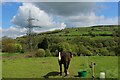 Paddock on Godly Lane, Rishworth