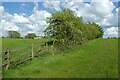 Fence and hedgerow near Thickpenny Farm