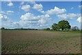 Field near New Farm