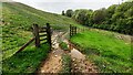 Gateway for track into field on SW side of A69