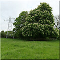 A view from the path from Richmond Park Avenue to Roberttown Lane, Roberttown, Liversedge