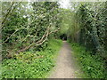 Footpath to Limpsfield Road