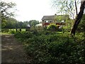 Path on Coulsdon Common