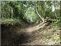 The London Loop in Old Coulsdon