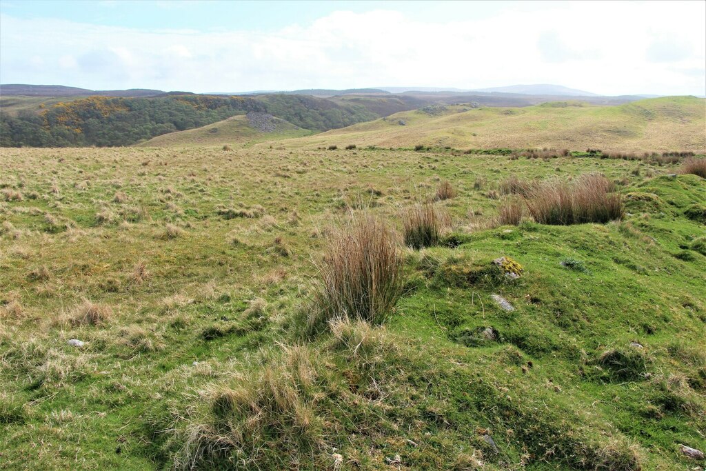 Rough pasture at Armadale © Alan Reid :: Geograph Britain and Ireland