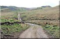 NC7962 : Track leading to Armadale Burn by Alan Reid