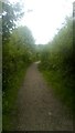 Path leading into Warren Gorge