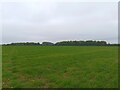 Farmland east of Brize Norton