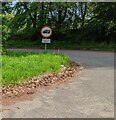 SO5316 : Weight limit sign alongside the road to Lewstone, Herefordshire by Jaggery
