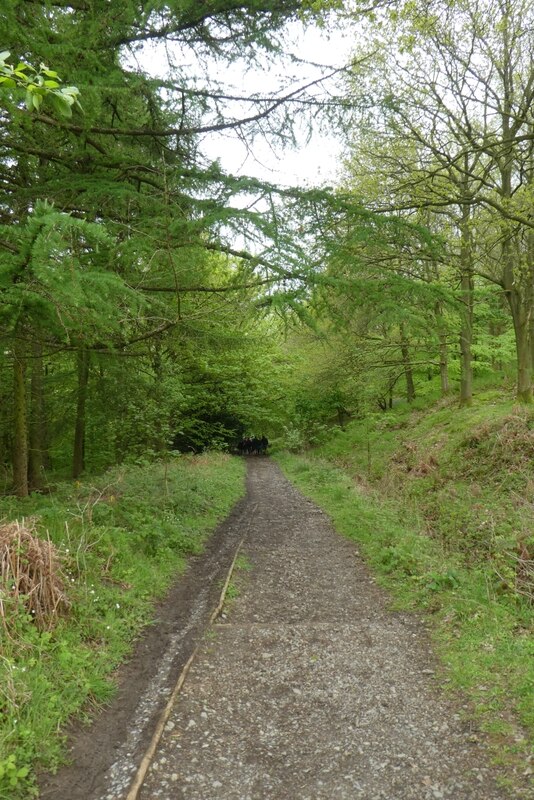 Steps On The Cleveland Way © Ds Pugh Geograph Britain And Ireland