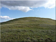 SH7048 : Looking uphill to Moel Farlwyd by Richard Law