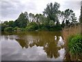 Summer Lane Pond