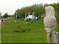 Keeping a watchful eye, Gedling Country Park