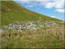 SH7048 : Derelict sheepfold on the south-western flank of Moel Farlwyd by Richard Law