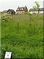 British Native Tree Trail, Gedling Country Park