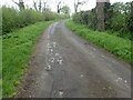 View from Mill Lane, Walkeringham