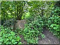 Stone Stile, Crudwell