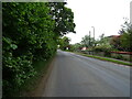 Norwich Road (National Cycle Route 51)