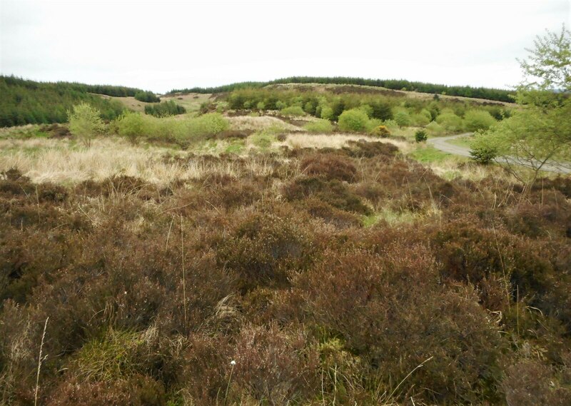 Heather moorland © Richard Sutcliffe :: Geograph Britain and Ireland