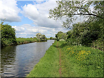 SJ8803 : Shropshire Union Canal near Pendeford in Staffordshire by Roger  D Kidd
