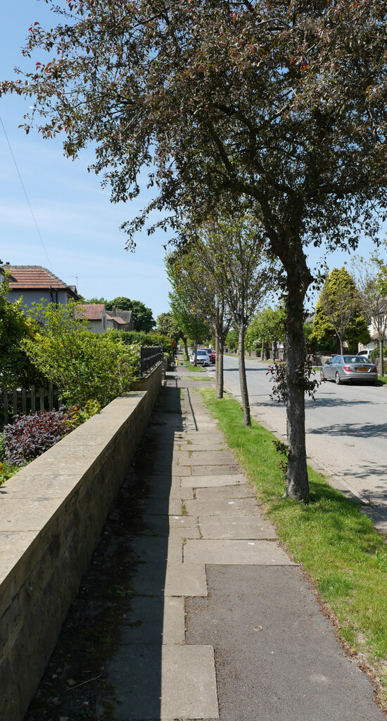 Gernhill Avenue, Fixby, Huddersfield © habiloid Geograph Britain and