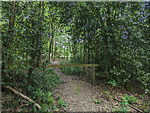 TQ3438 : Barred way to wood edge west of Cuttinglye Lane by Robin Webster