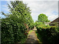 Footpath from the church, Horsington