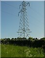 SE2025 : Electricity transmission pylon, Gomersal by Humphrey Bolton
