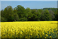 Farmland, Great Hampden