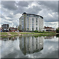 Trentside reflections