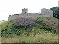 TF8115 : Castle Acre Castle by Eirian Evans