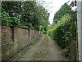 Access lane, John Burrill Homes, Clifton