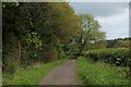 NZ2838 : Weardale Way beside Butterby Wood by Chris Heaton