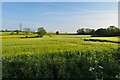 TL4832 : Farmland by the B1038 by Philip Jeffrey