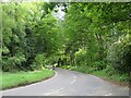 SU8940 : Thursley Road near Thursley, Surrey by Malc McDonald