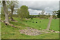 Mayburgh Henge