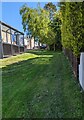 Green and trees, High Street, Blaenavon