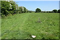 Sheep pasture on Fingrinhoe Ranges