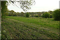 Field near Warlingham