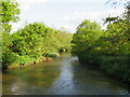 SU9243 : River Wey near Elstead, Surrey by Malc McDonald