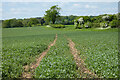 Farmland, Tangley