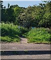 Path into a nature reserve, Henllys, Cwmbran