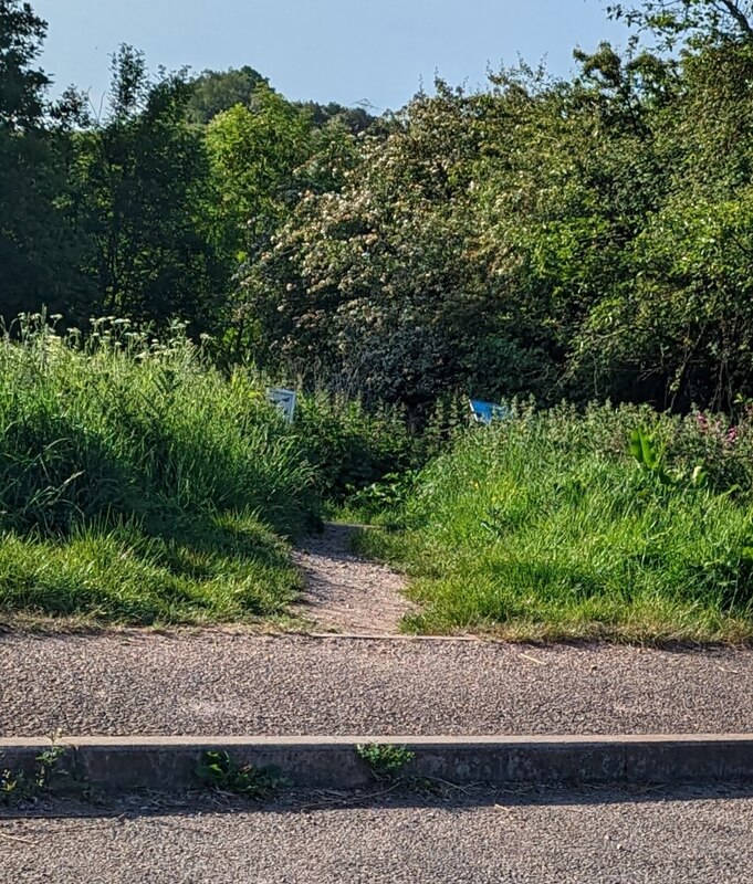 path-into-a-nature-reserve-henllys-jaggery-geograph-britain