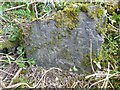 Damaged Boundary Stone