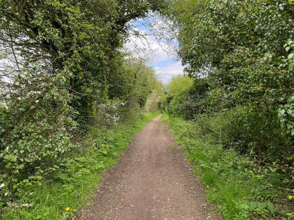 View along the Harrow Way © Mr Ignavy :: Geograph Britain and Ireland