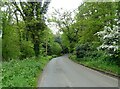 School Lane, Martlesham