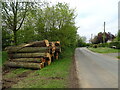 Logs beside Main Road