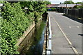 Green Chain Walk by River Quaggy