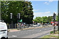 Crossing, Sidcup Rd